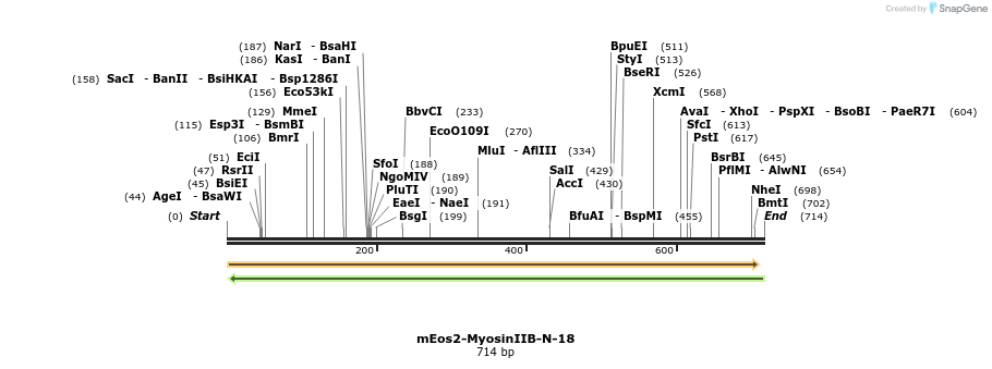 127451_map