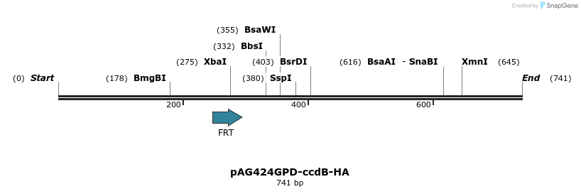 127456_map