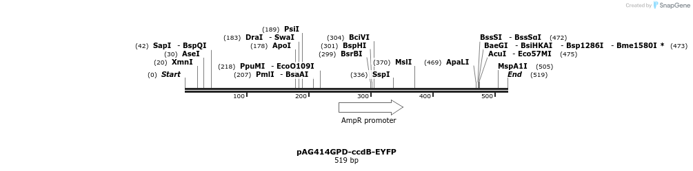 127458_map