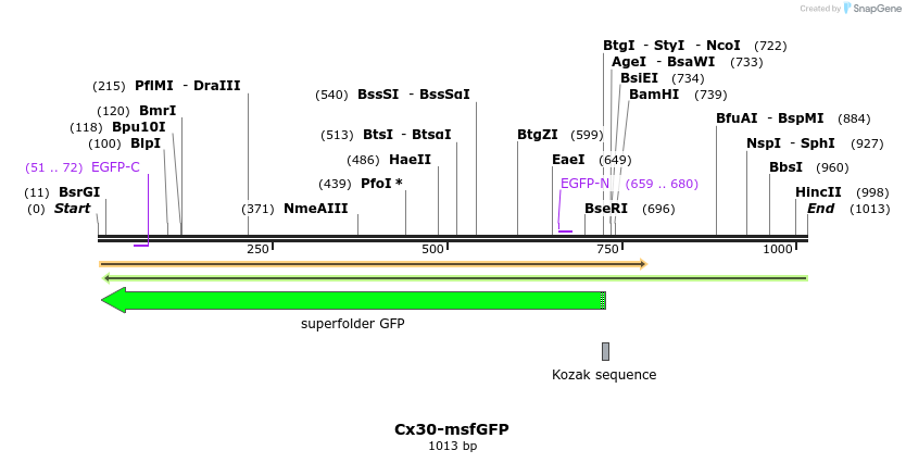 127460_map