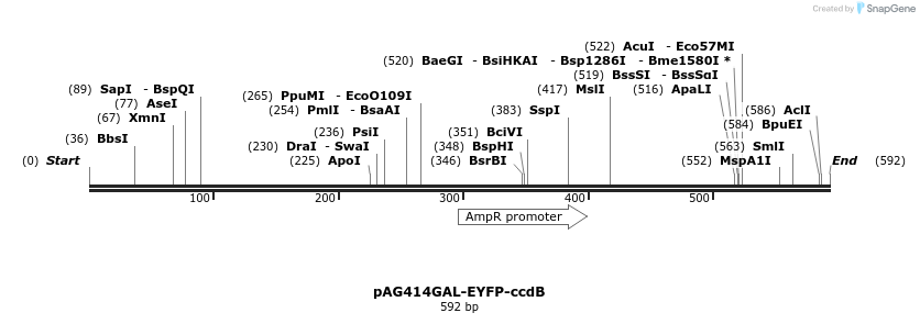 127461_map