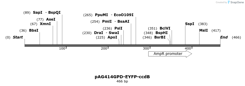127462_map