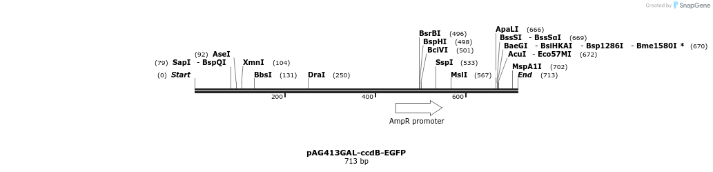 127463_map