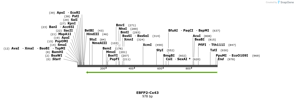 127466_map