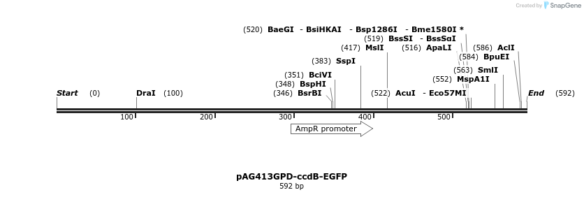 127470_map
