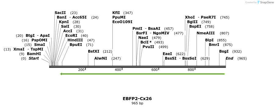 127471_map