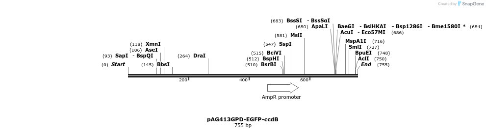 127474_map
