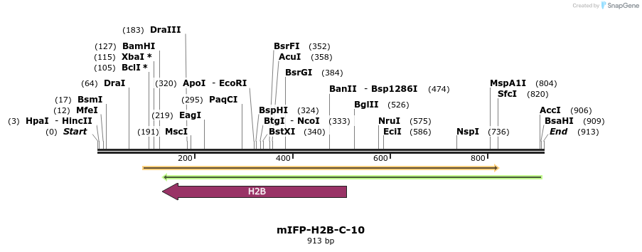 127494_map