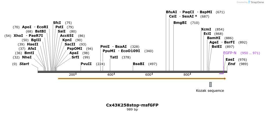 127496_map