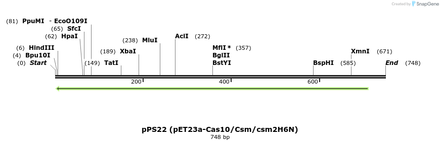 127501_map
