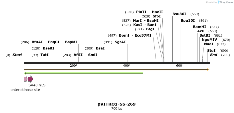 127505_map