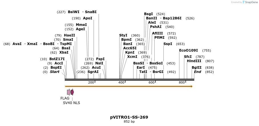 127508_map