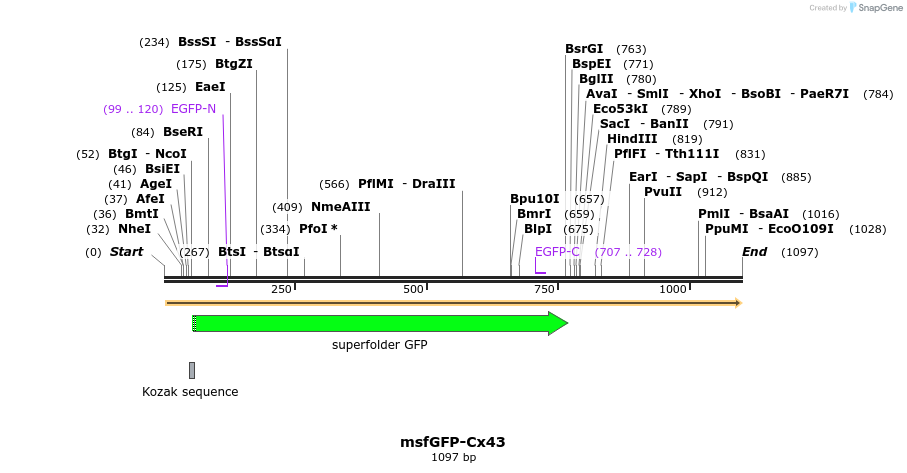 127512_map