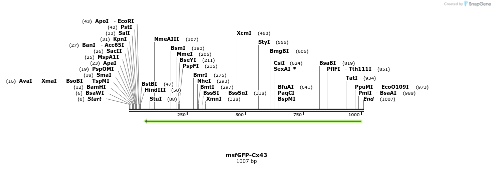 127513_map