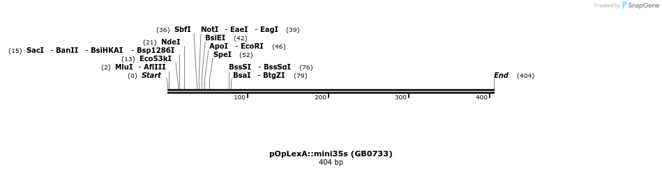 127515_map