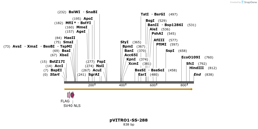 127517_map