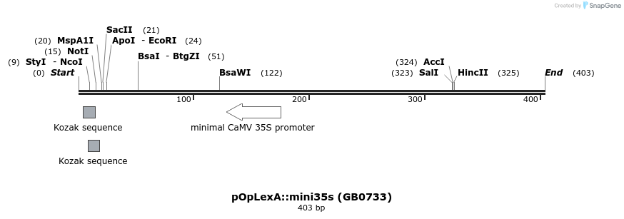 127518_map