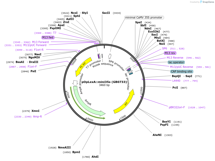 127520_map