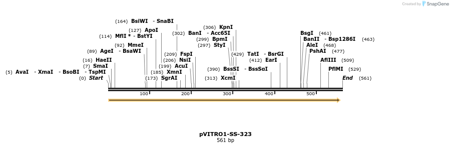 127521_map