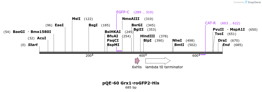 127522_map