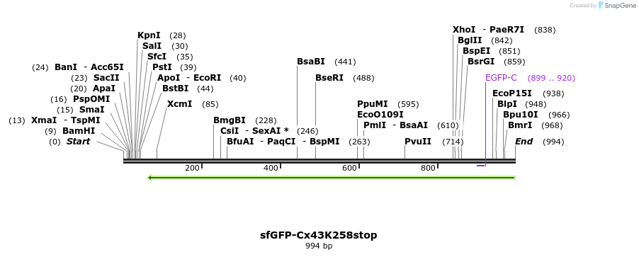 127524_map