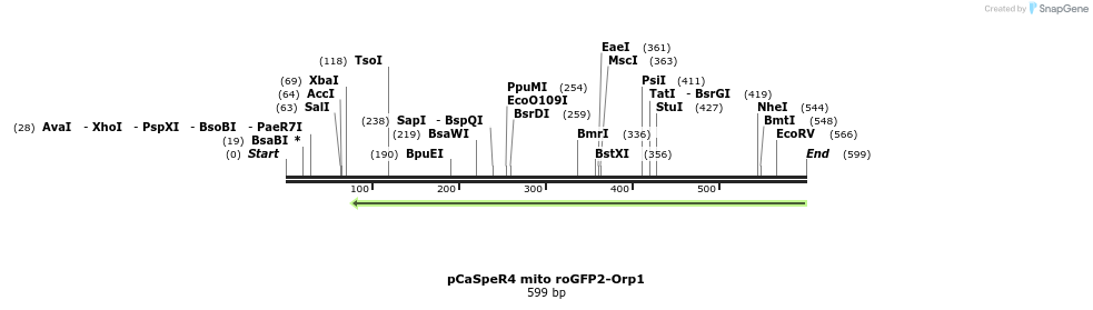 127526_map