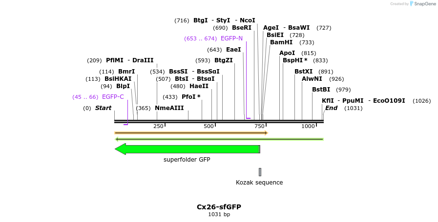 127533_map