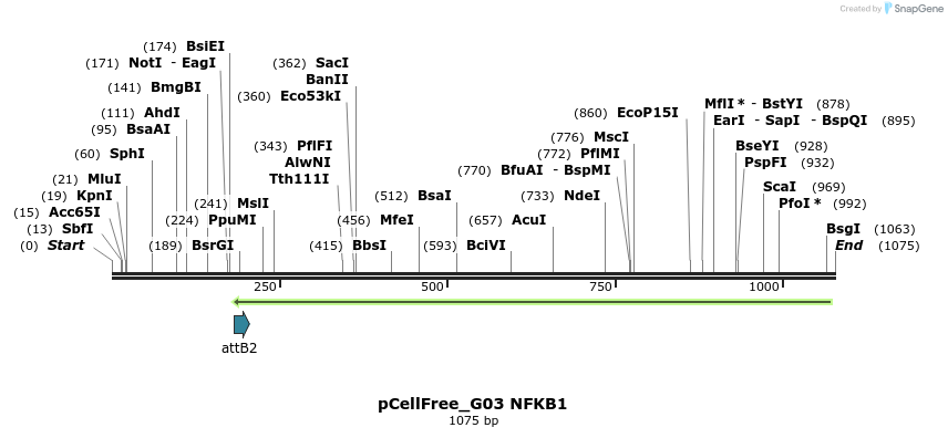 127542_map