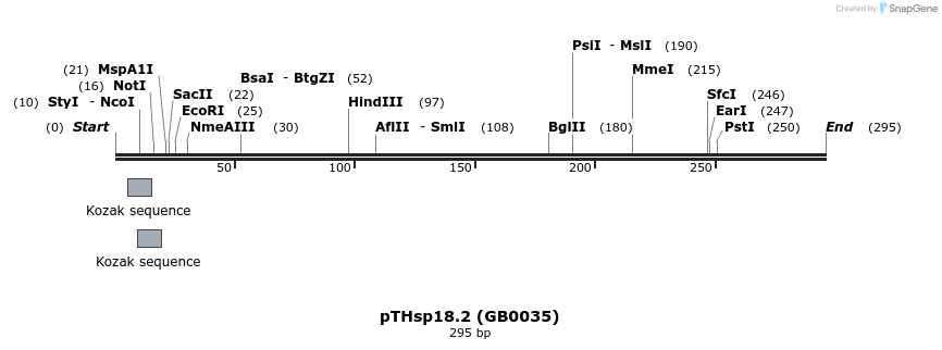 127556_map