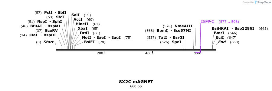 127559_map