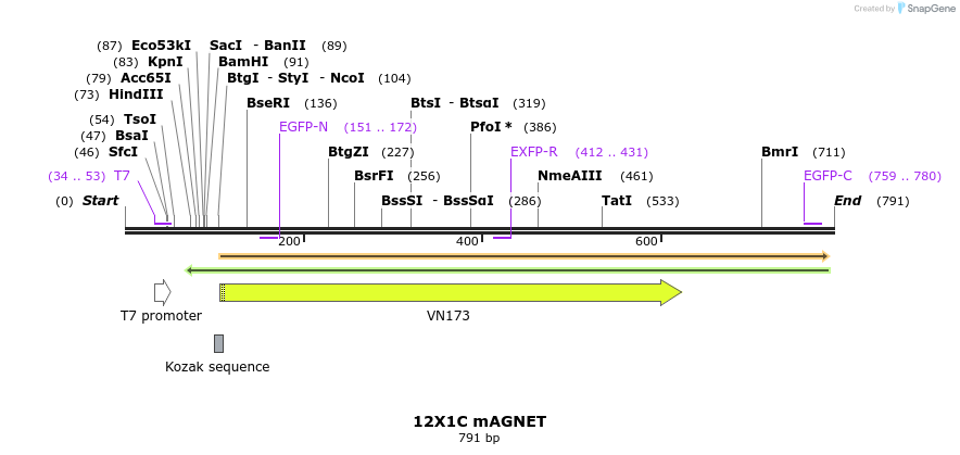 127561_map
