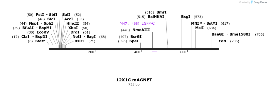 127562_map