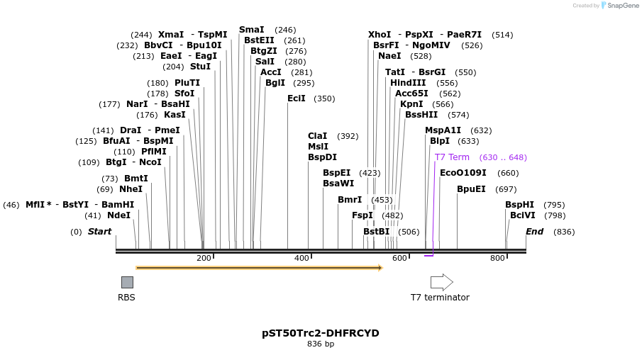 127570_map