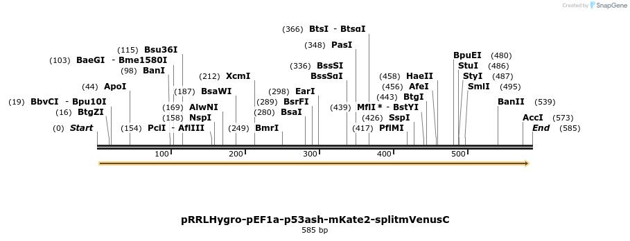127573_map