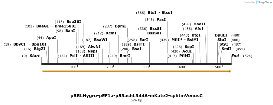 127576_map