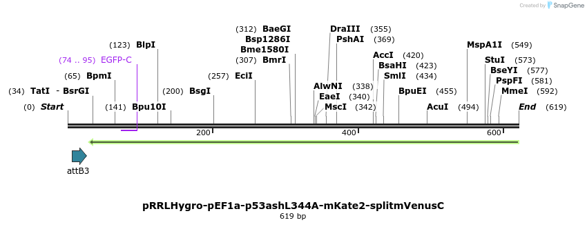 127579_map