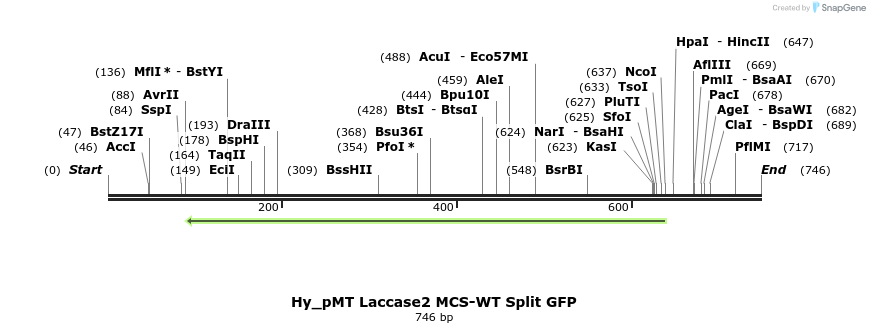 127581_map