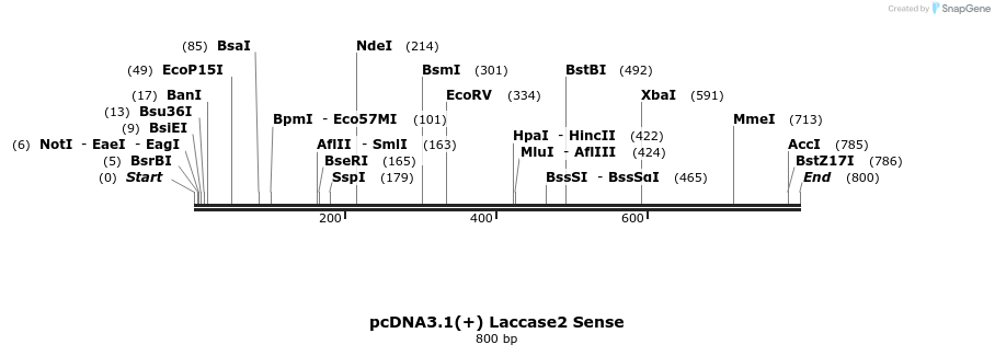 127585_map