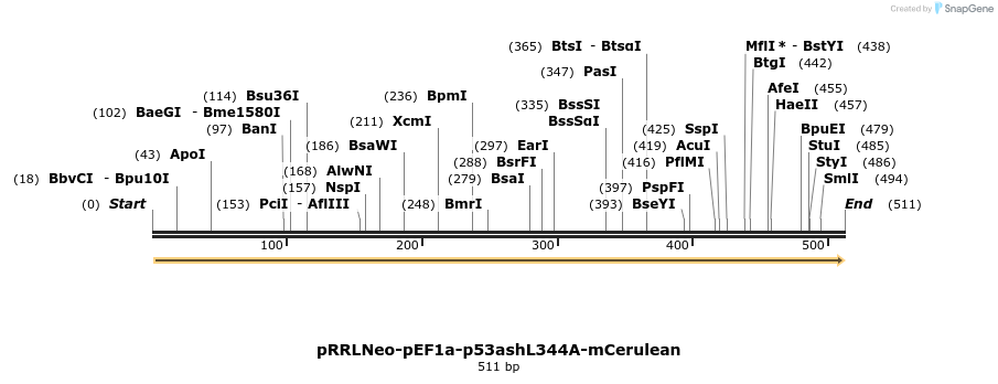 127587_map