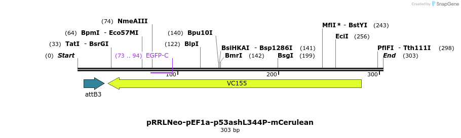 127589_map