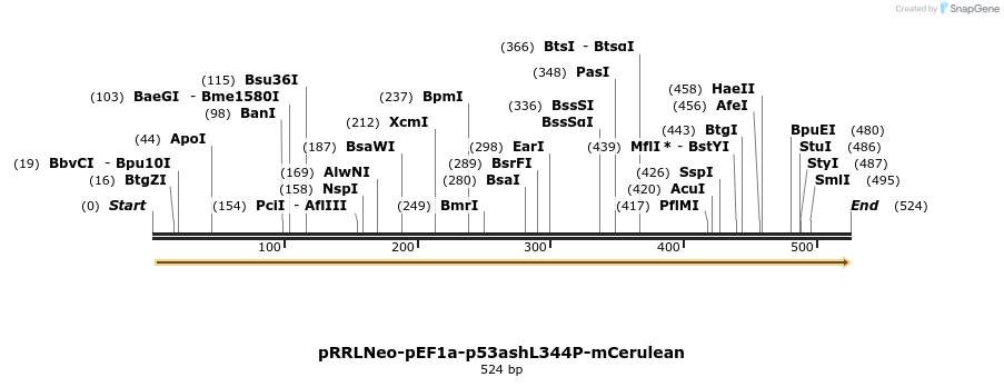 127590_map