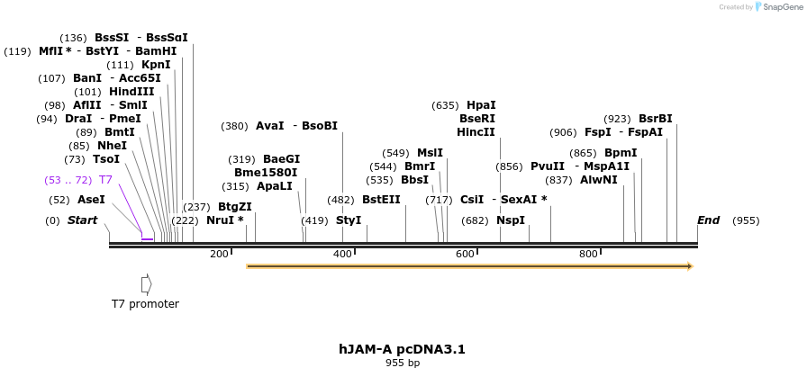 127591_map