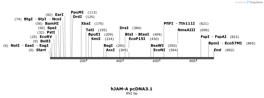 127592_map