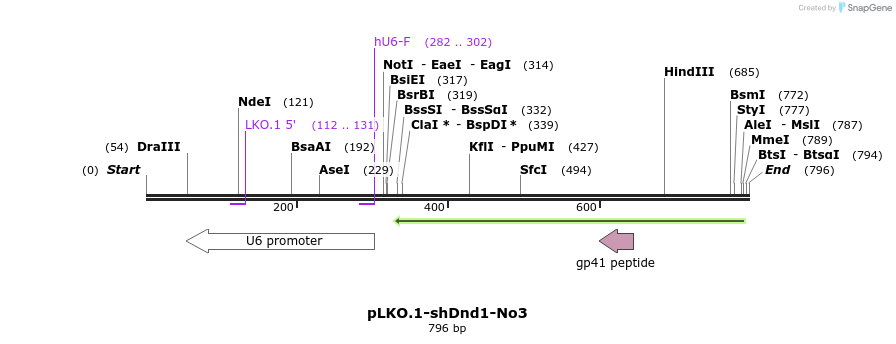 127594_map