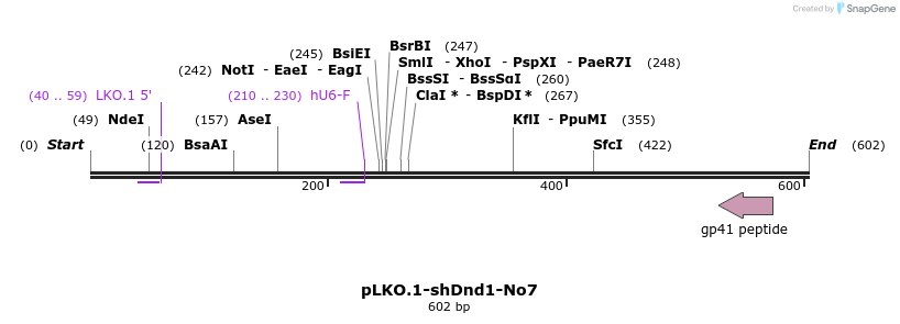 127600_map