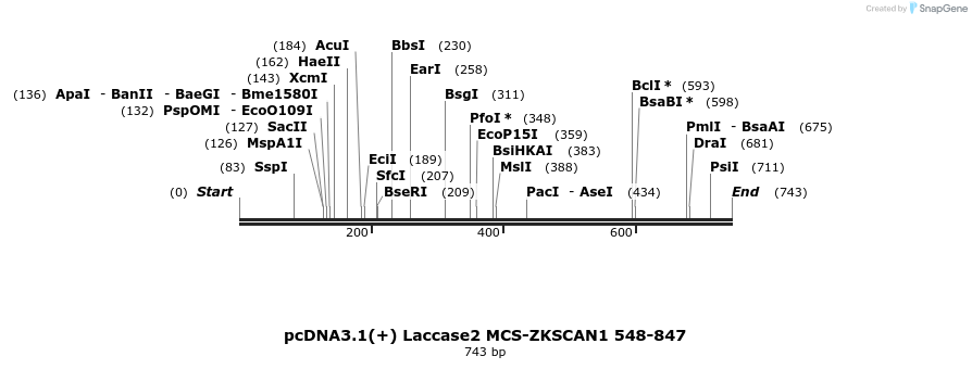 127602_map