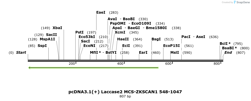 127603_map