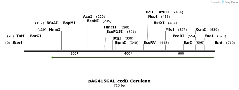 127604_map