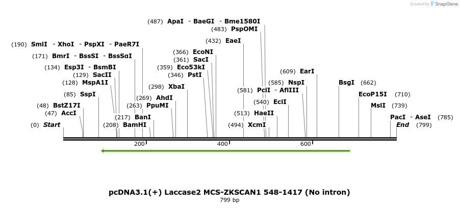 127605_map