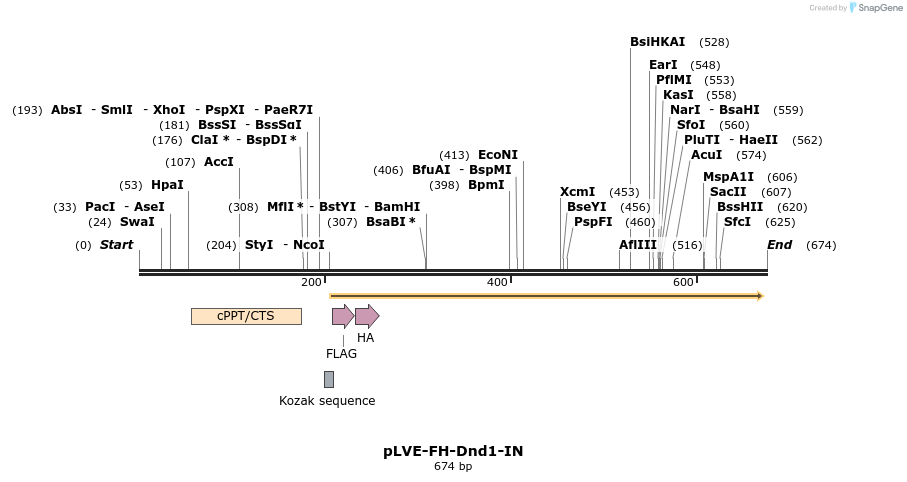 127607_map